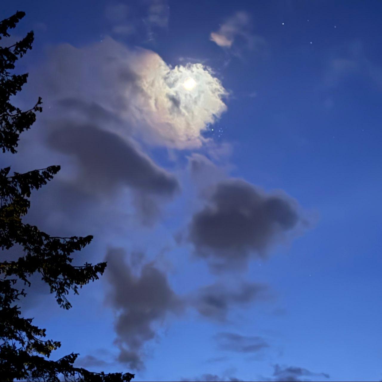 The Moon over Tofino, Canada — waxing crescent, Lunar Day 5