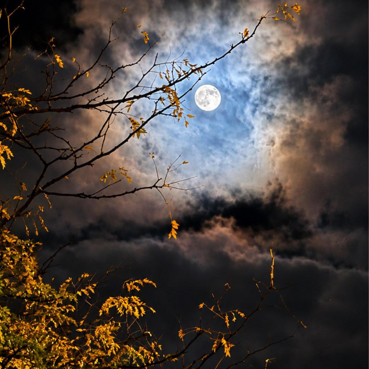 The Moon over Bear Creek Township, United States — waning gibbous, Lunar Day 20