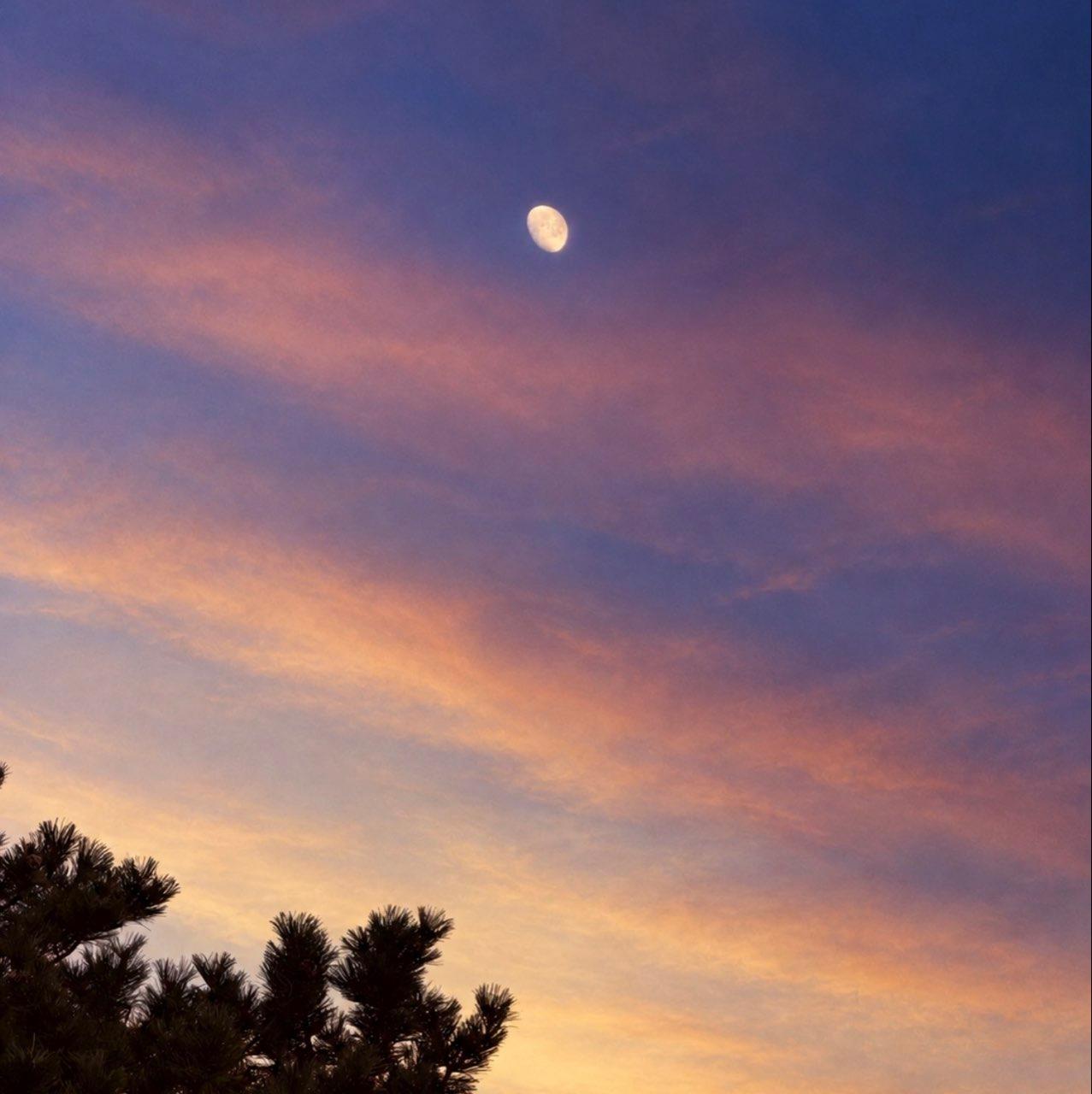 The Moon over Colorado Springs, United States — waxing gibbous, Lunar Day 11