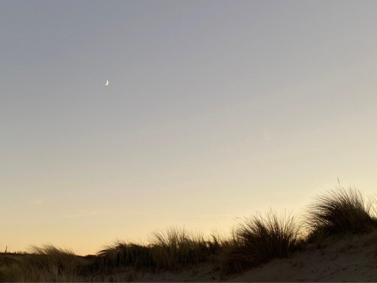The Moon over 's‑Gravenzande, Nederland — first quarter, Lunar Day 6