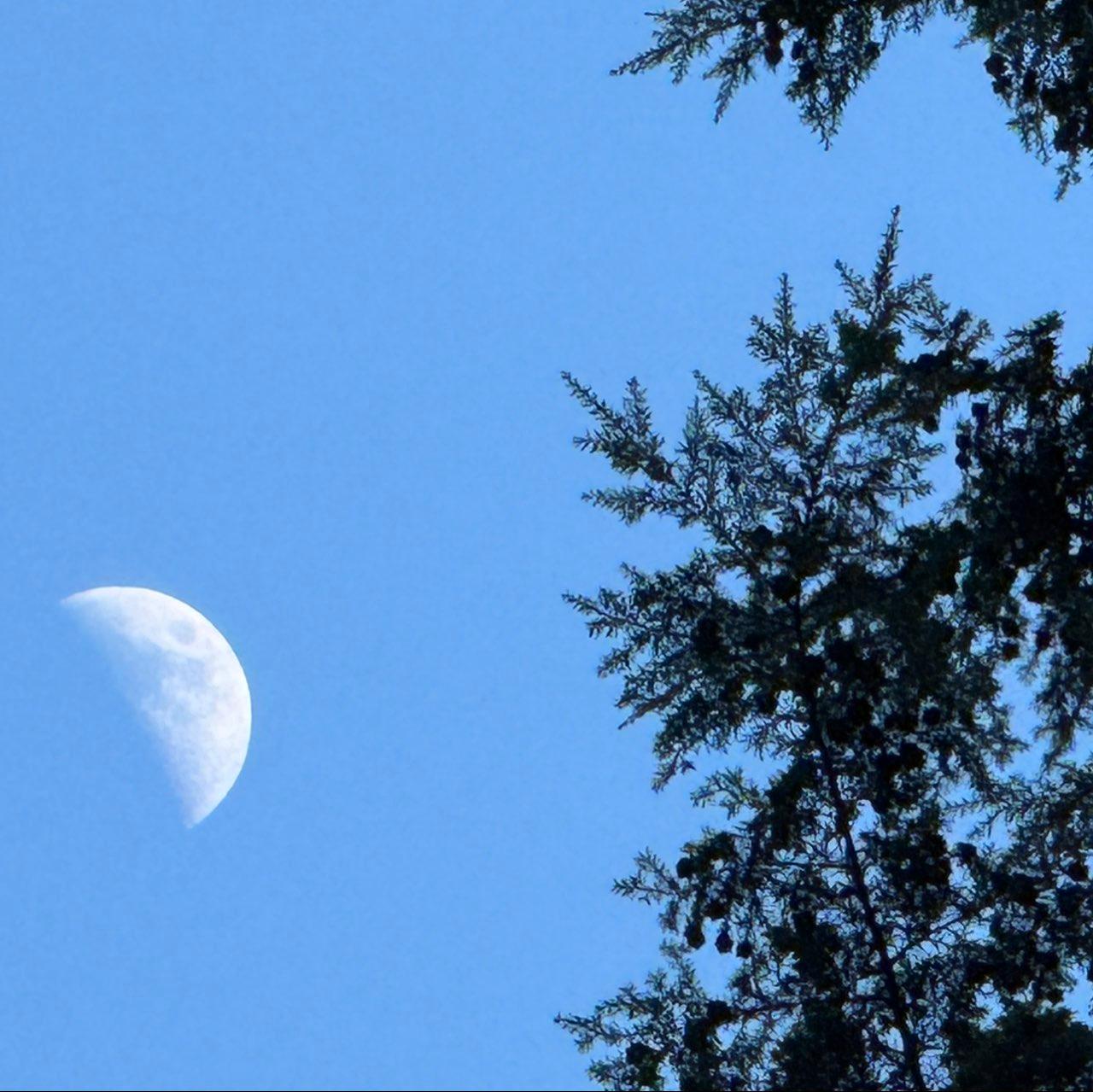 The Moon over Tofino, Canada — first quarter, Lunar Day 7