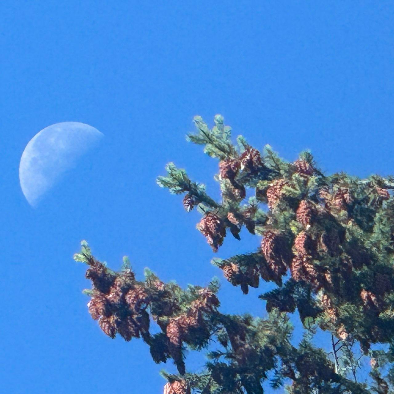 The Moon over Sunshine Coast, Canada — last quarter, Lunar Day 22