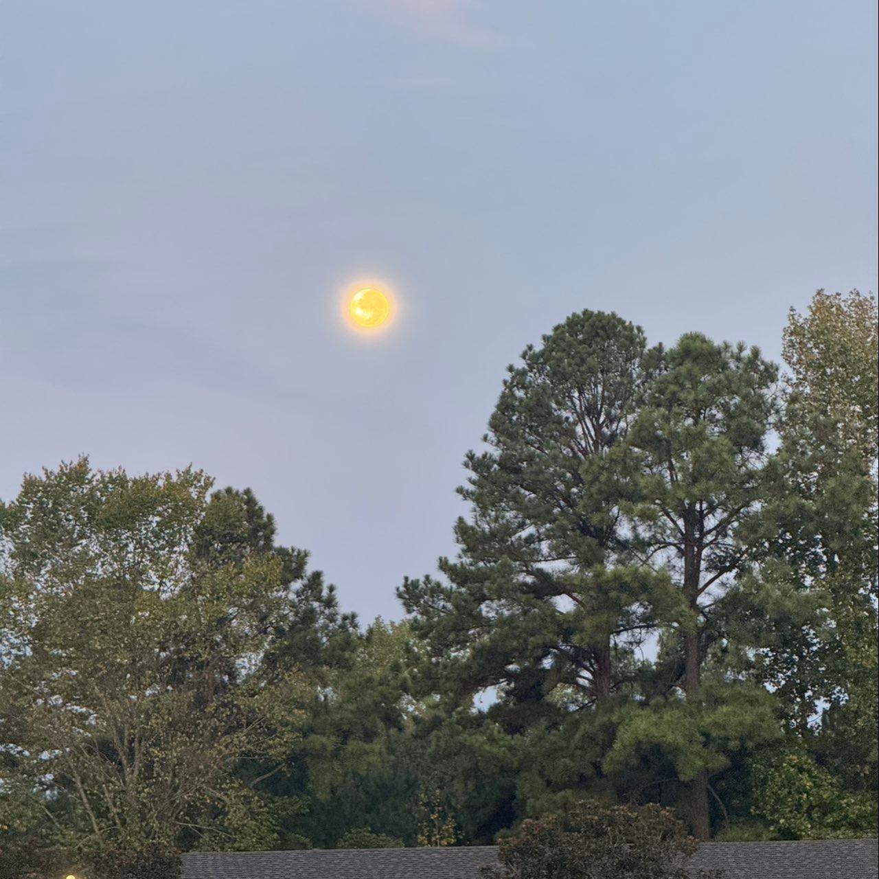 The Moon over Magnolia, United States — full moon, Lunar Day 17