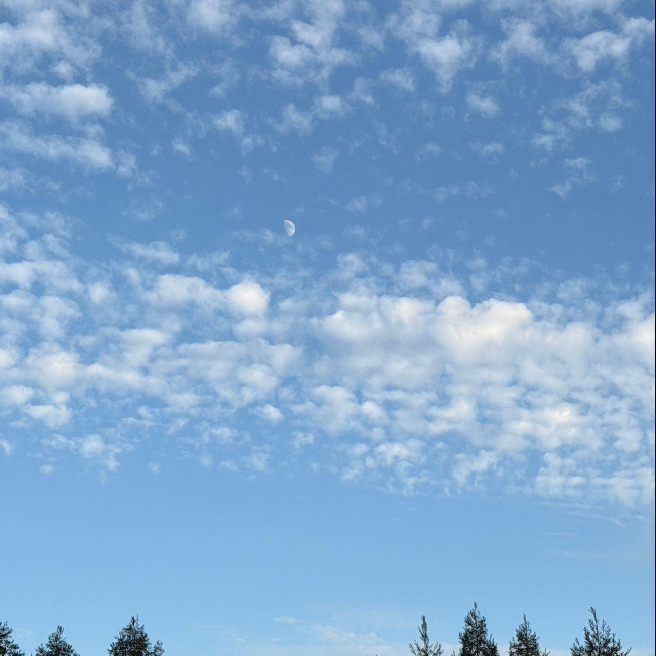 The Moon over Lodi, United States — first quarter, Lunar Day 10