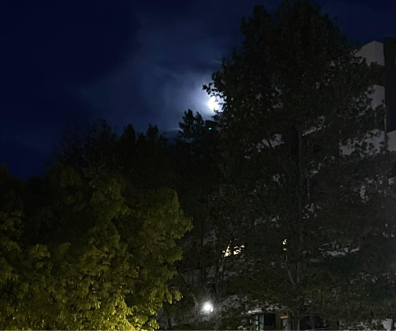 The Moon over Bari, Italia — full moon, Lunar Day 15