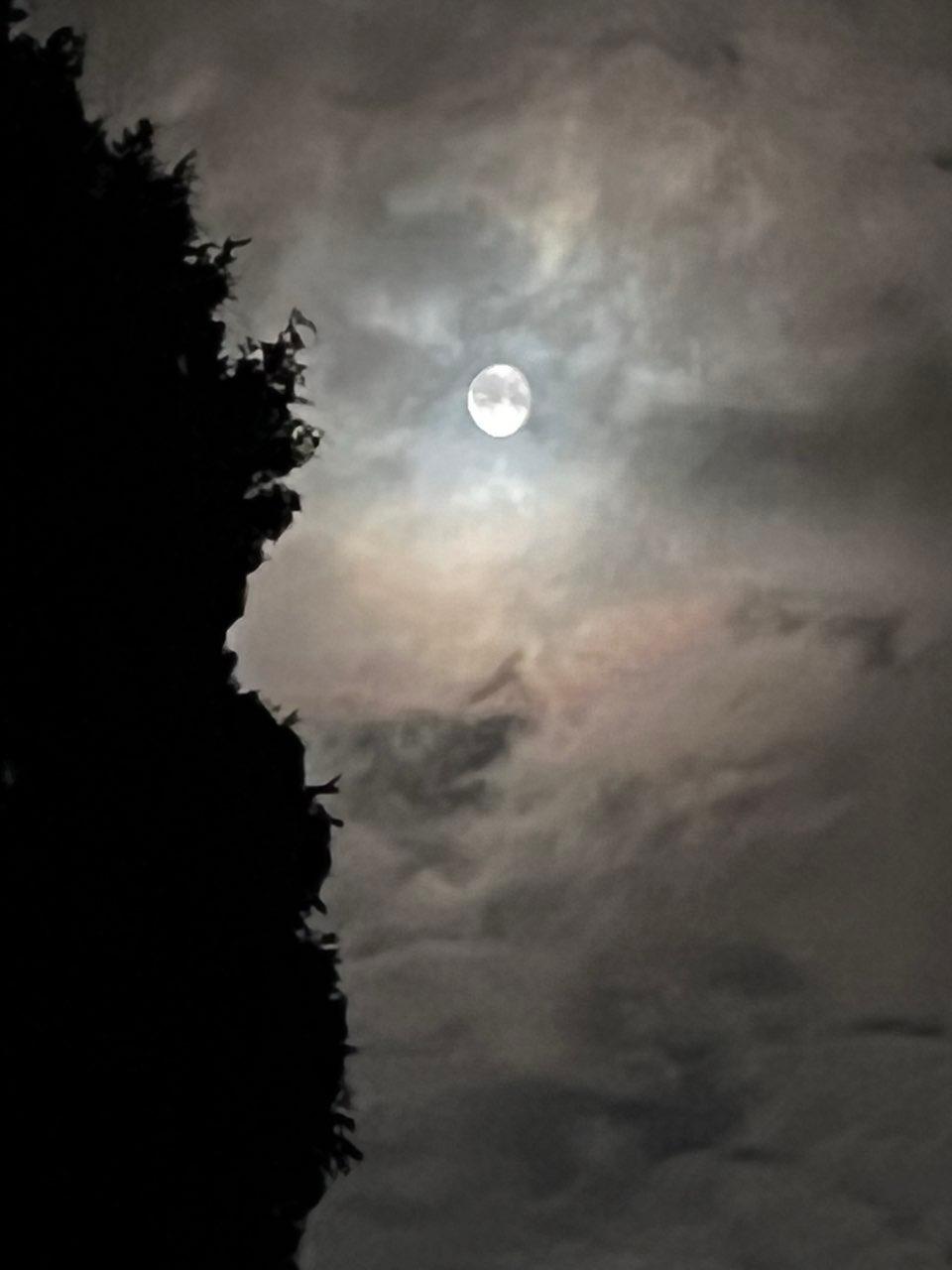 The Moon over Bielefeld, Deutschland — waning crescent, Lunar Day 26