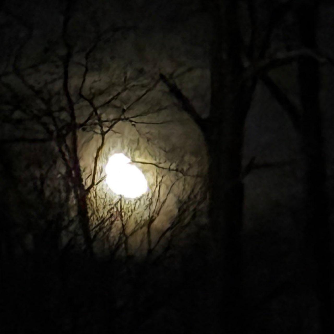The Moon over Moreland Hills, United States — last quarter, Lunar Day 21
