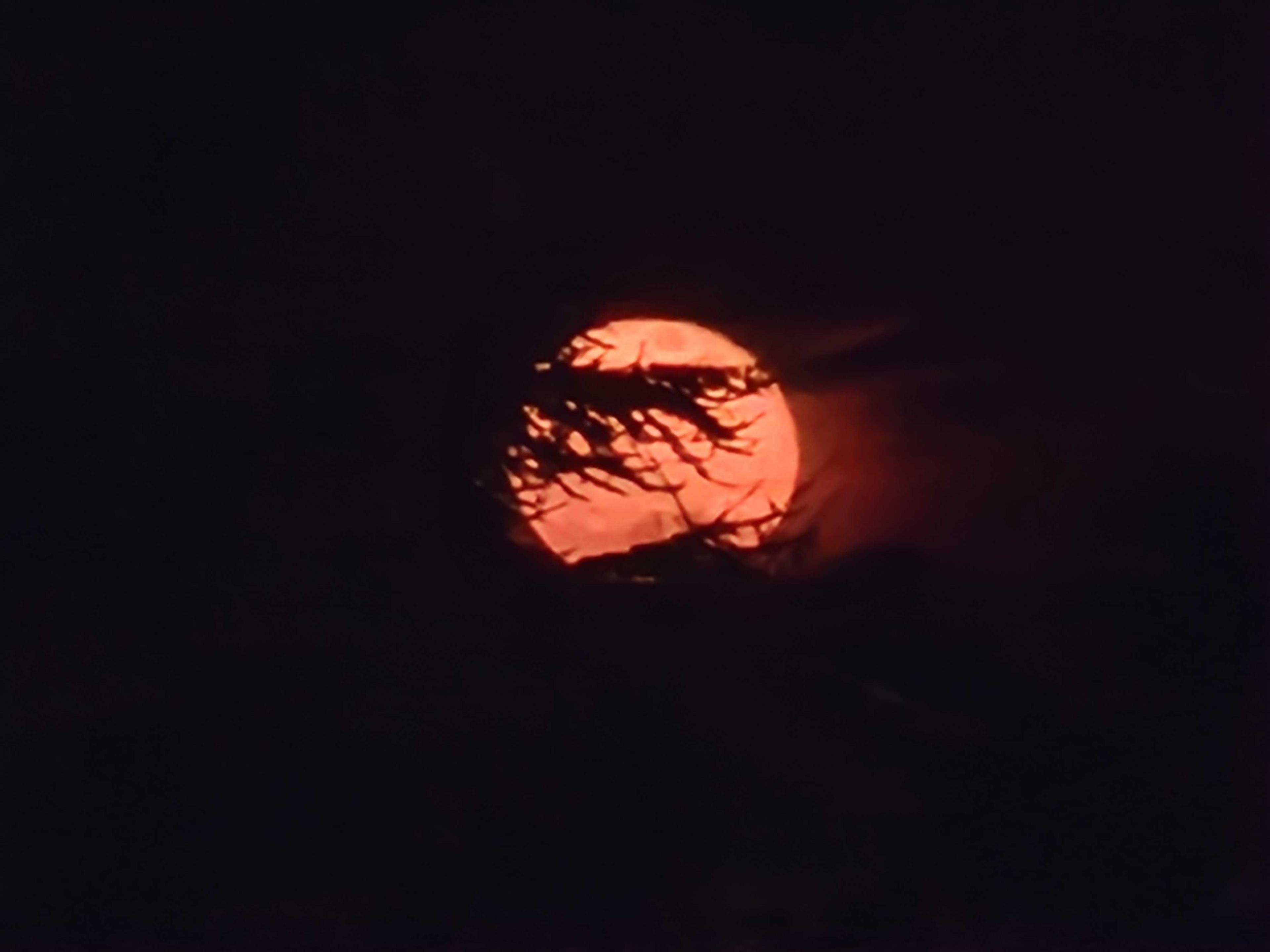 The Moon over United Kingdom — full moon, Lunar Day 16