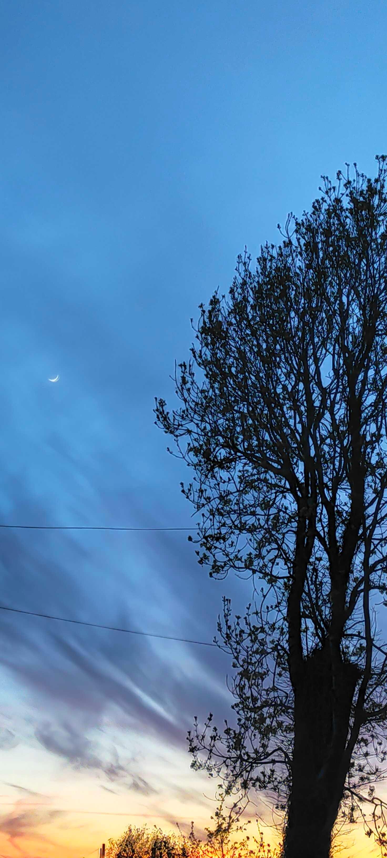 The Moon over United Kingdom — waxing crescent, Lunar Day 3