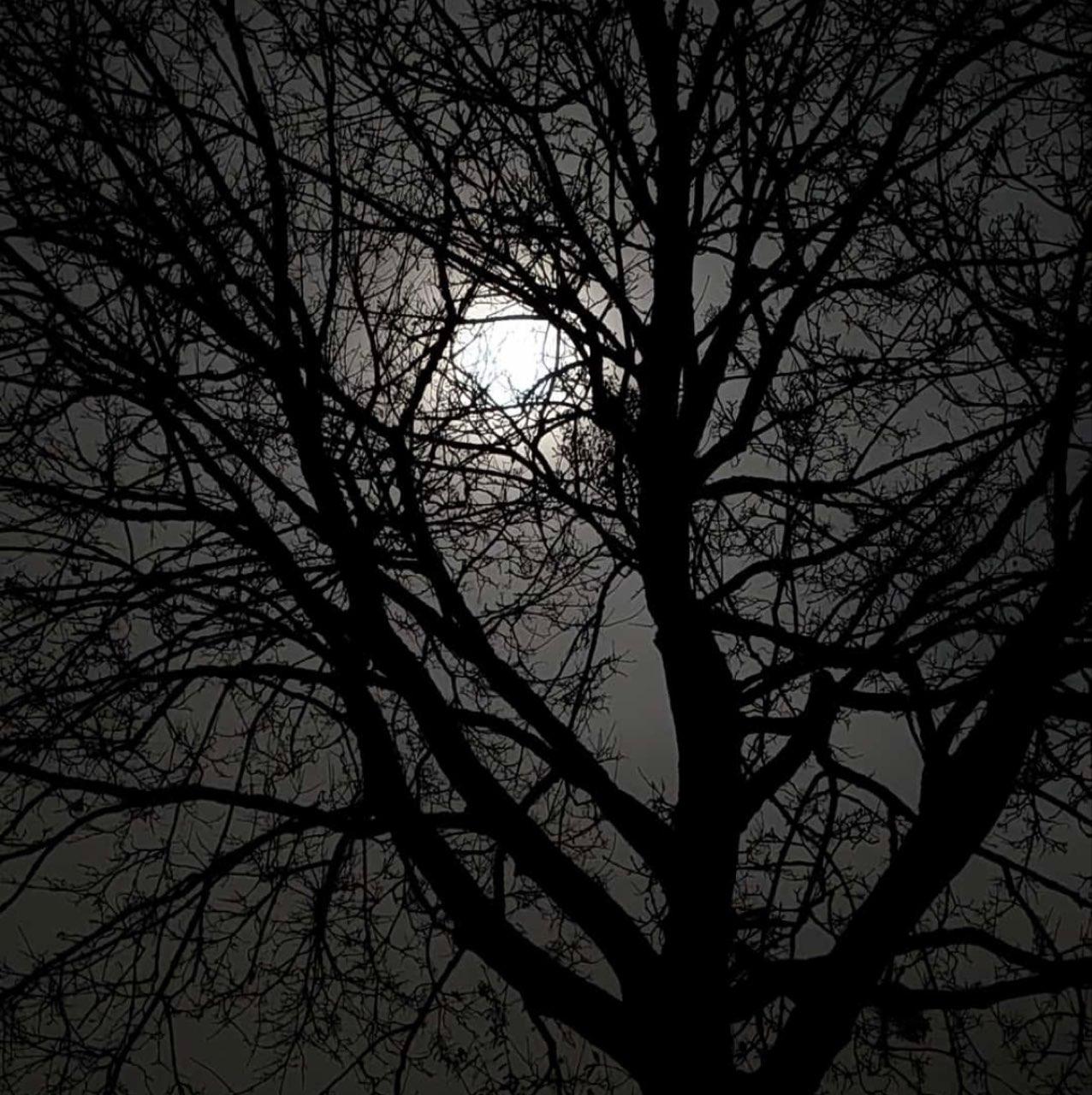 The Moon over Ennetbürgen, Schweiz — full moon, Lunar Day 14