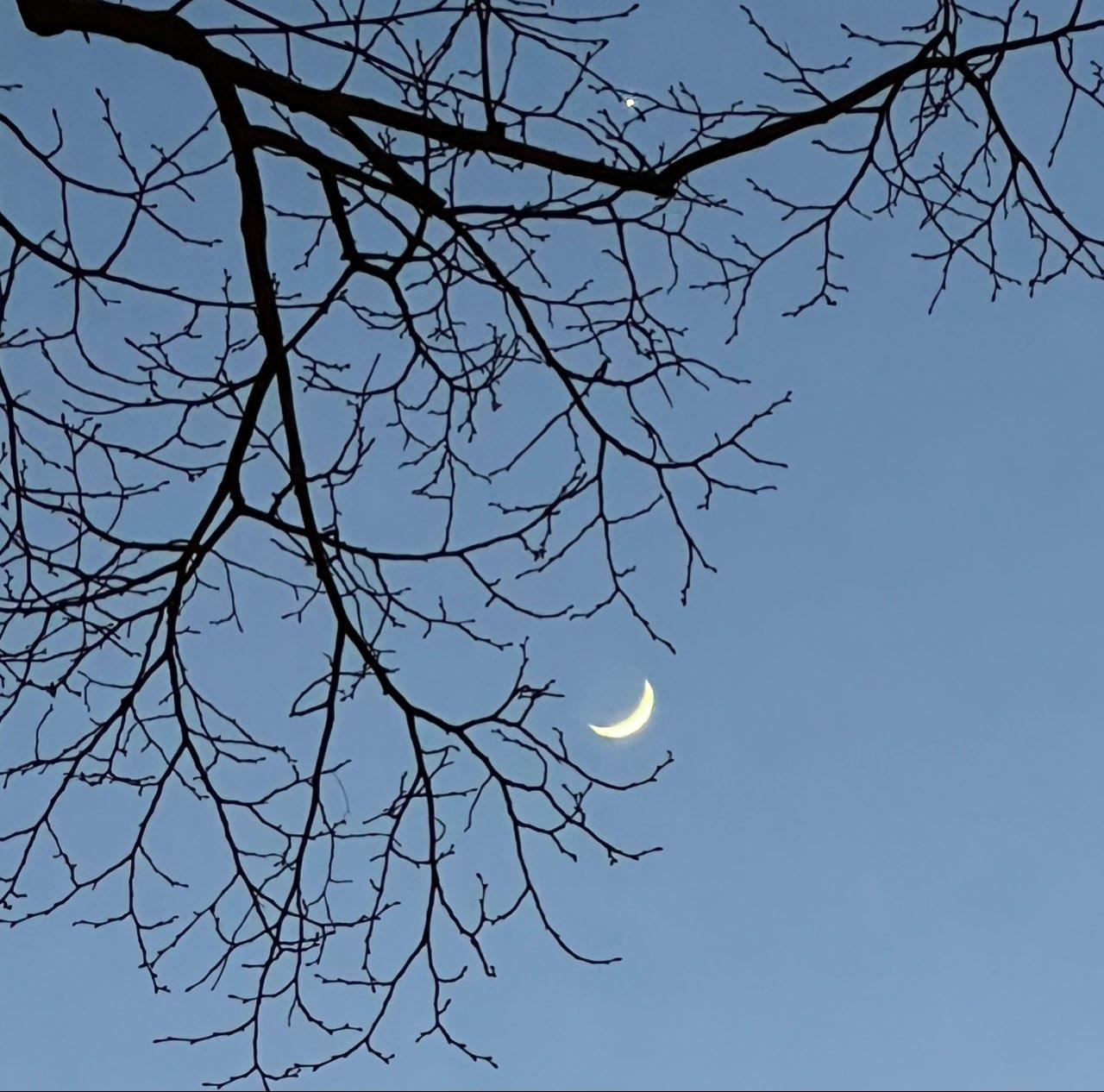 The Moon over Suresnes, France — waxing crescent, Lunar Day 4