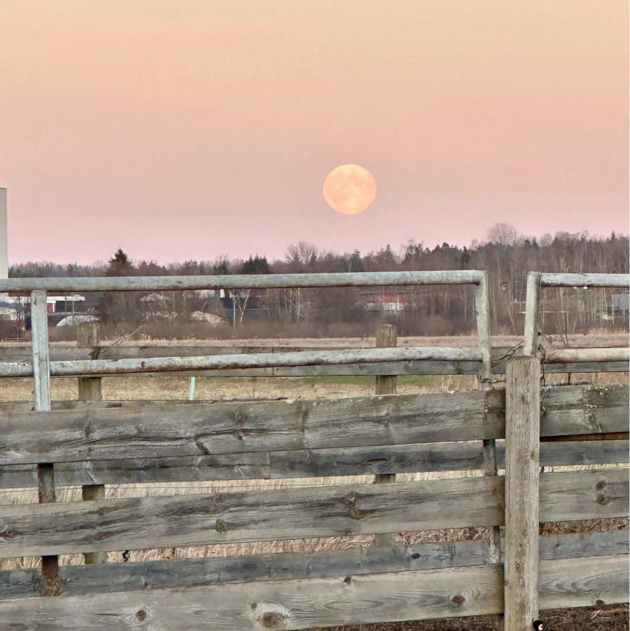 The Moon over Örebro, Sverige — full moon, Lunar Day 16