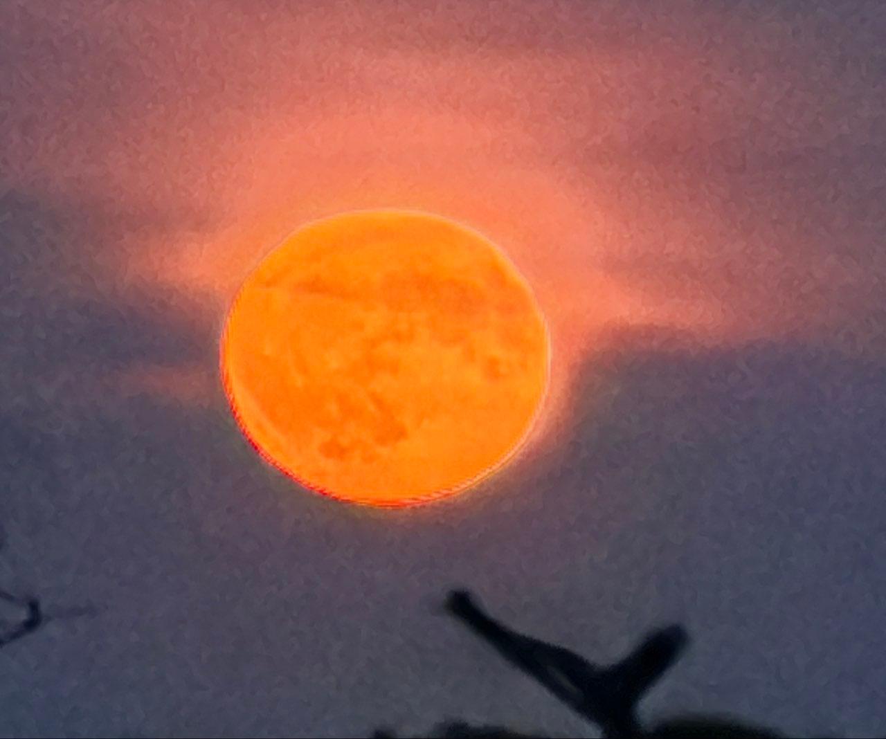 The Moon over Dagenham, United Kingdom — last quarter, Lunar Day 25