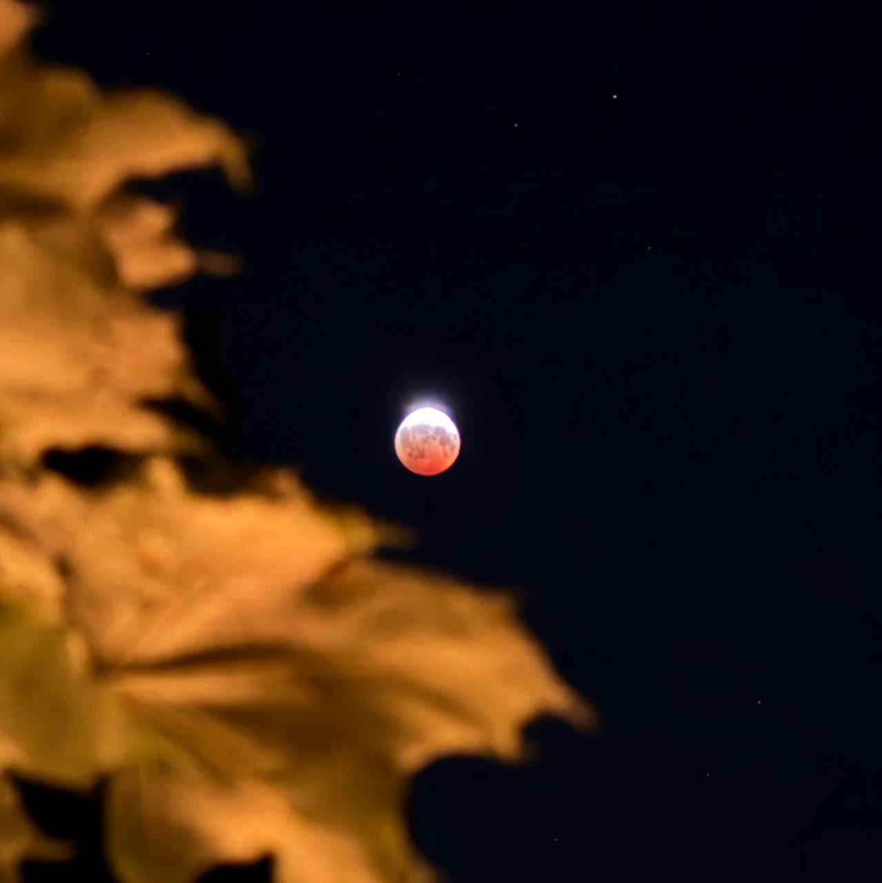The Moon over Ottawa, Canada — full moon, Lunar Day 16