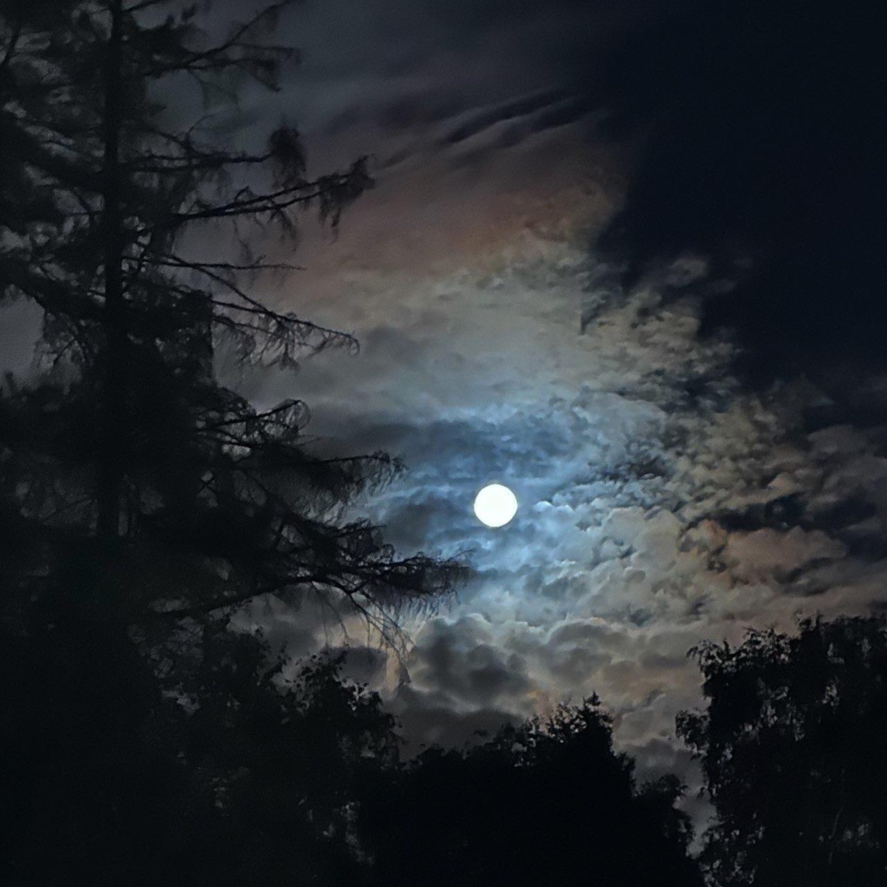 The Moon over посёлок Солза, Россия — full moon, Lunar Day 17