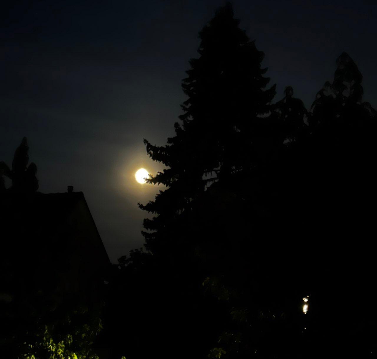 The Moon over Kraainem, Belgium — waxing gibbous, Lunar Day 13