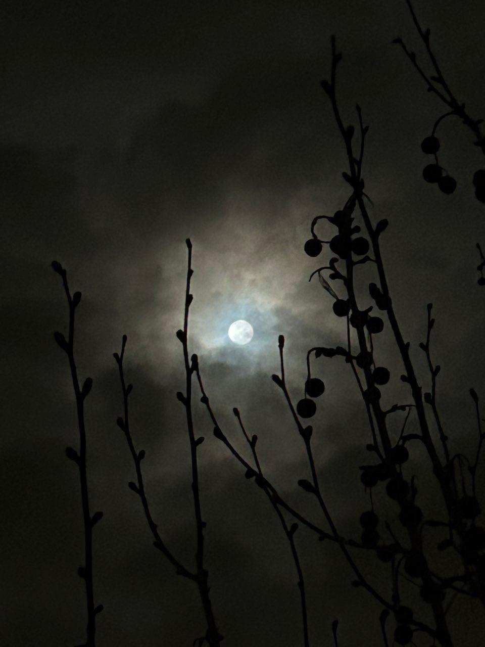 The Moon over Melbourne, Australia — full moon, Lunar Day 15