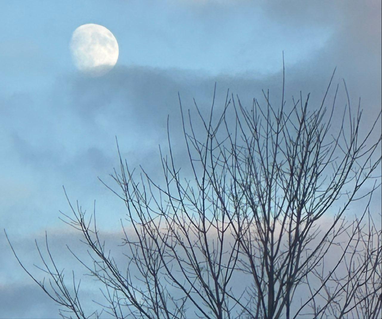The Moon over Cavan Monaghan, Canada — waxing gibbous, Lunar Day 13