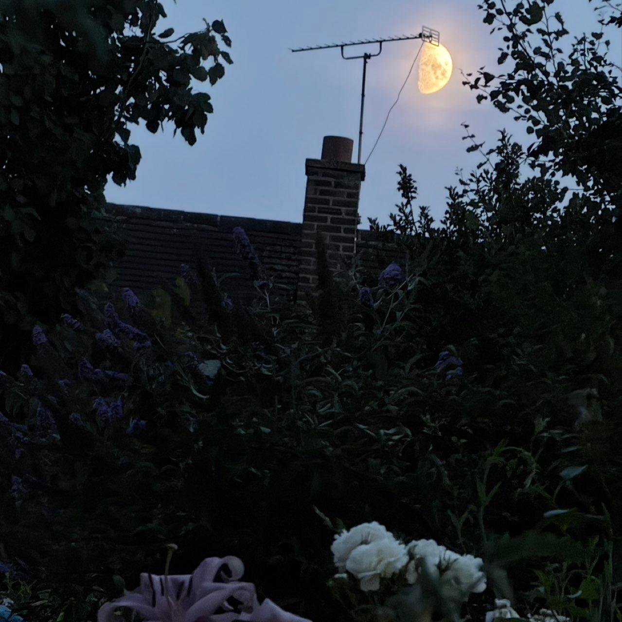 The Moon over Stafford, United Kingdom — first quarter, Lunar Day 9