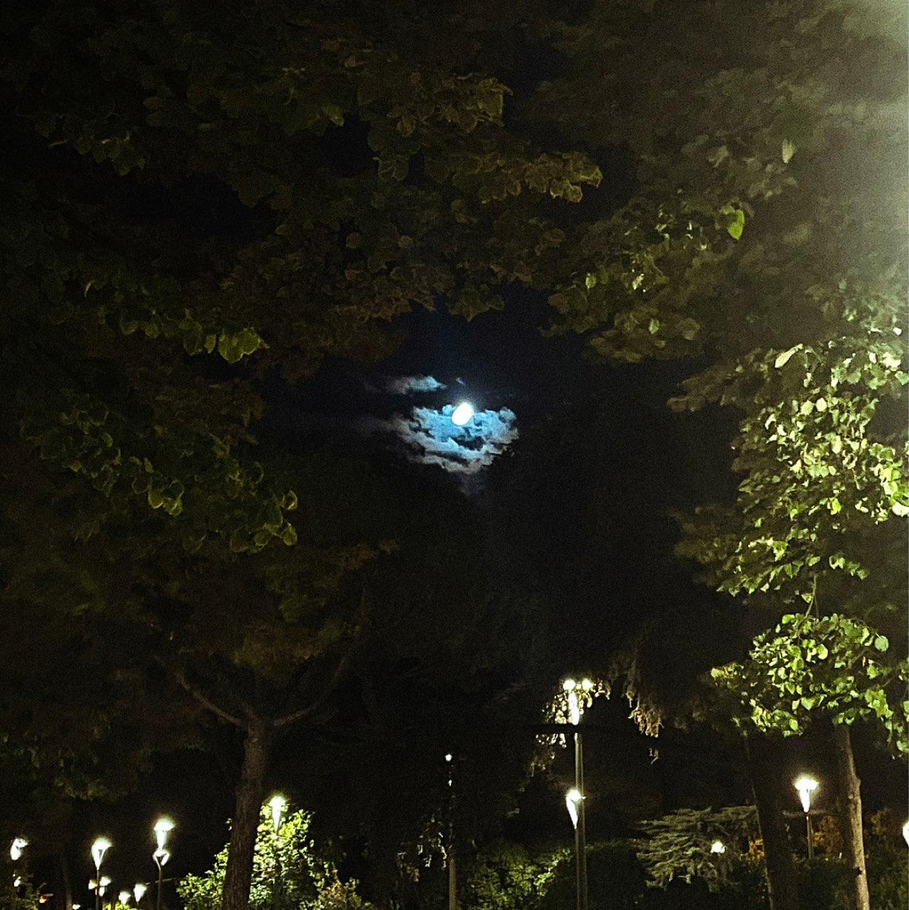 The Moon over Bari, Italia — waxing gibbous, Lunar Day 14
