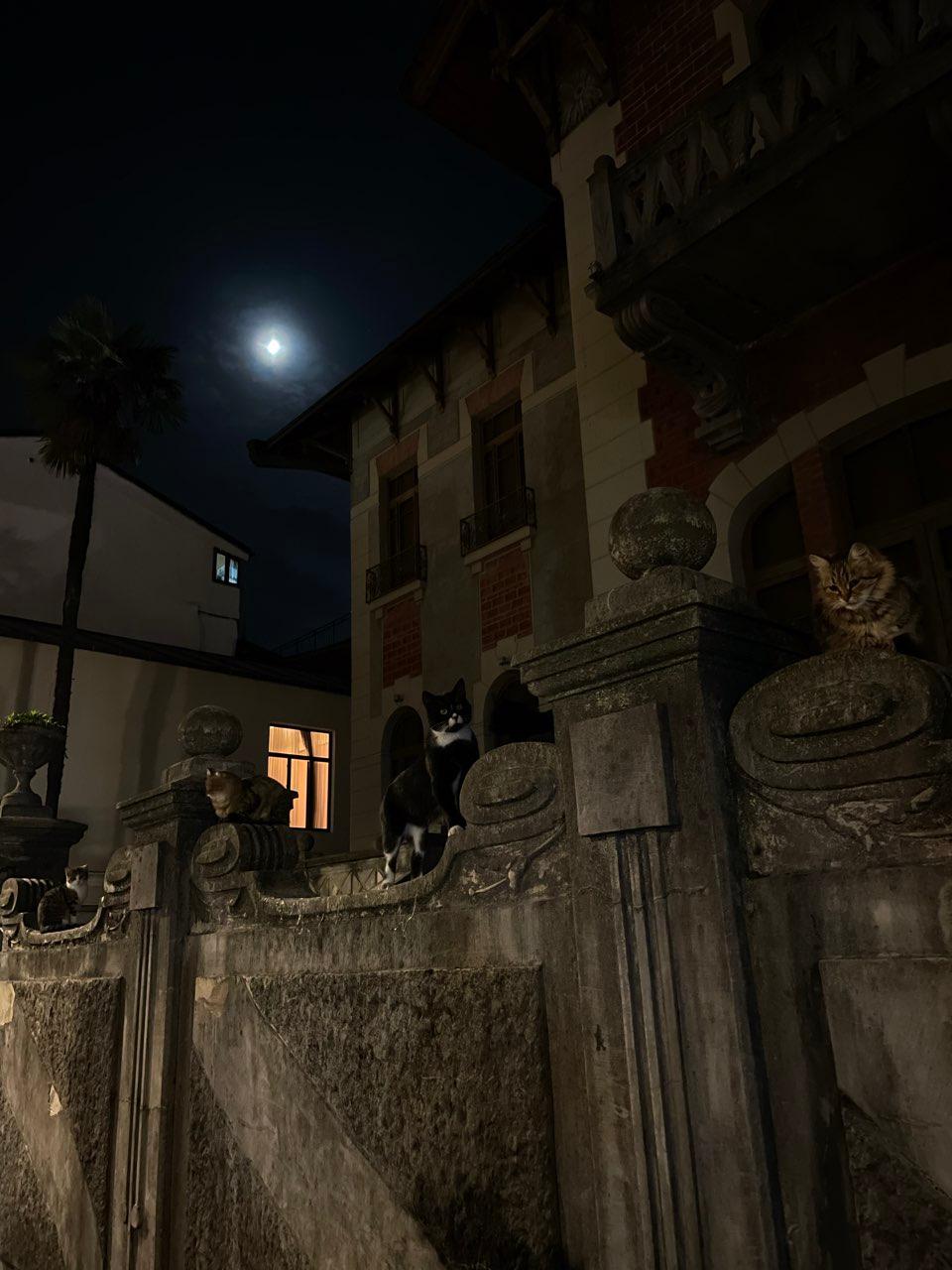 The Moon over Batumi, Georgia — waxing gibbous, Lunar Day 11