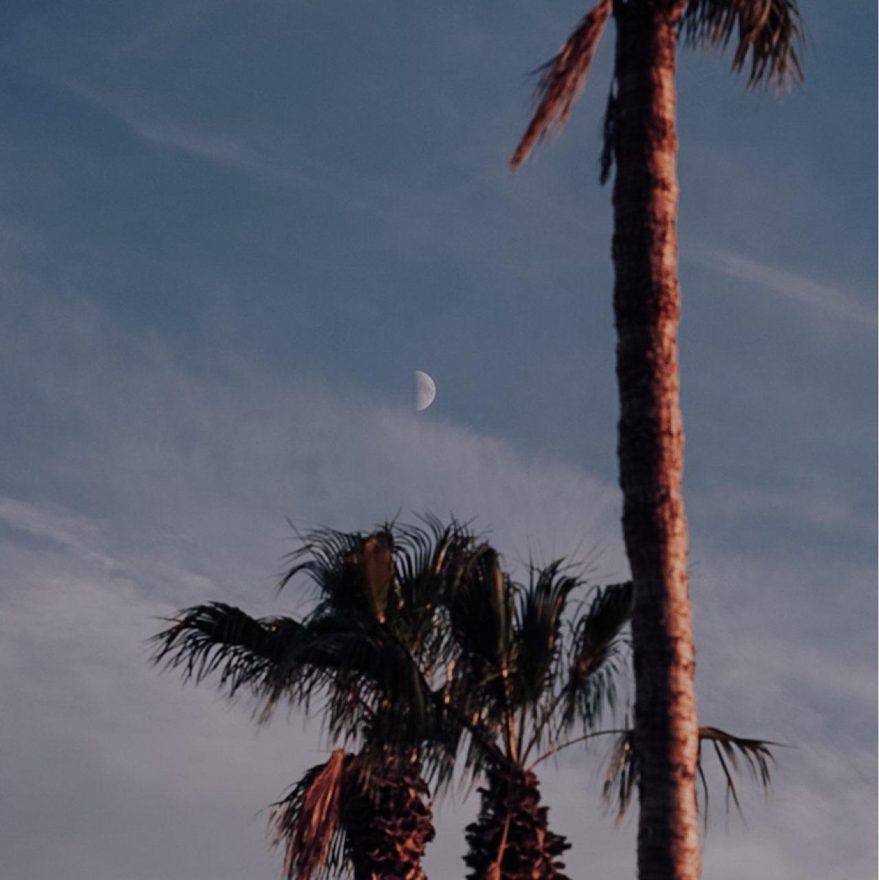 The Moon over Valencia, España — first quarter, Lunar Day 9