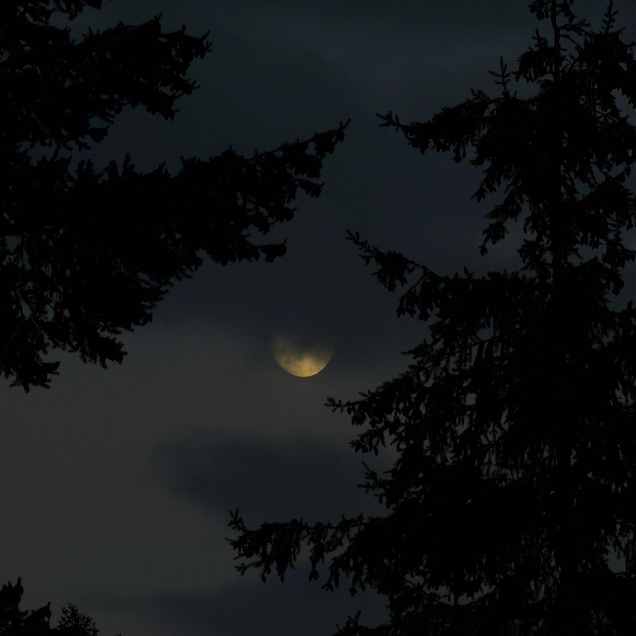 The Moon over Puyallup, United States — first quarter, Lunar Day 9