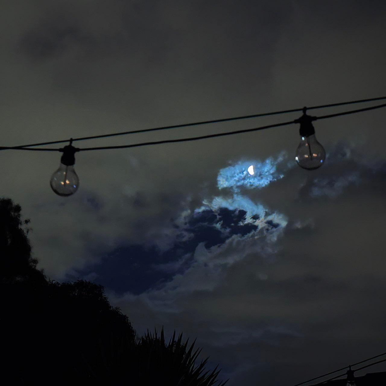 The Moon over Adelaide, Australia — first quarter, Lunar Day 8