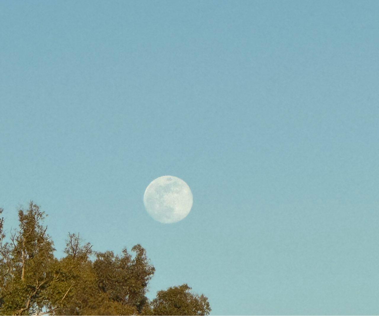The Moon over Sevilla, España — full moon, Lunar Day 14