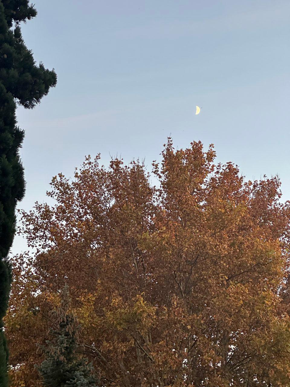 The Moon over Arles, France — first quarter, Lunar Day 7
