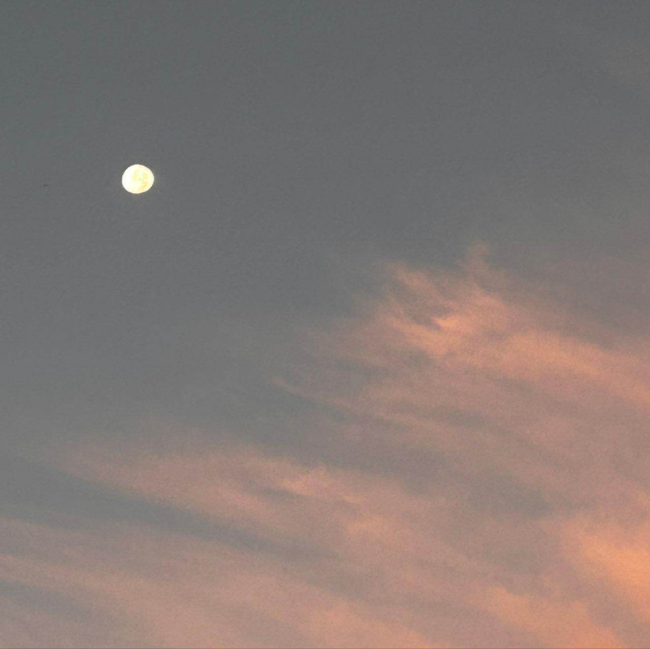 The Moon over Blackwood, United States — waning gibbous, Lunar Day 20