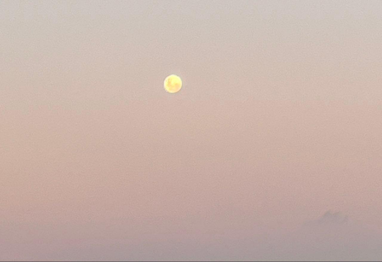 The Moon over Hamilton, New Zealand — full moon, Lunar Day 14