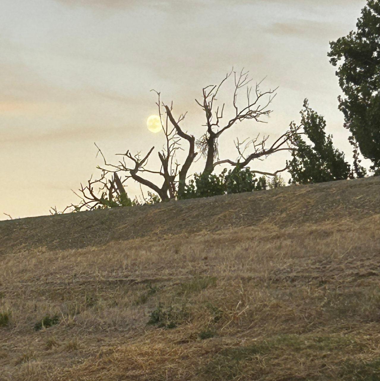 The Moon over Sacramento, United States — full moon, Lunar Day 14
