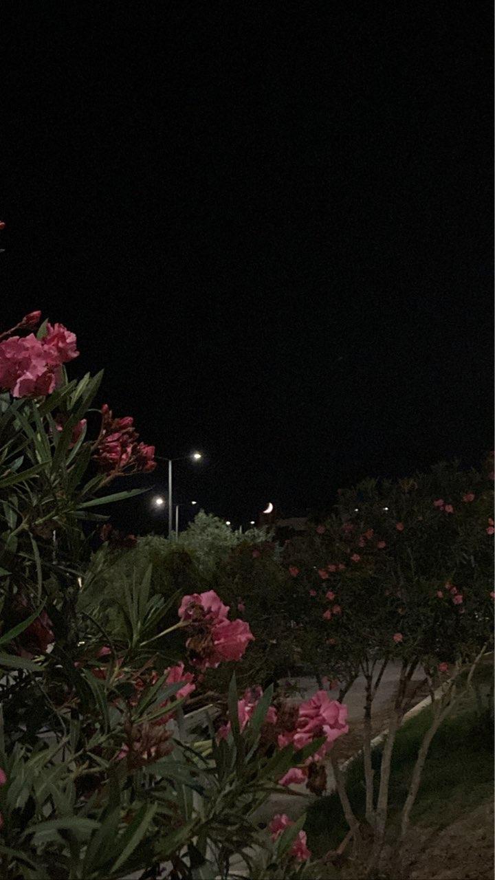 The Moon over Puerto Real, España — first quarter, Lunar Day 7