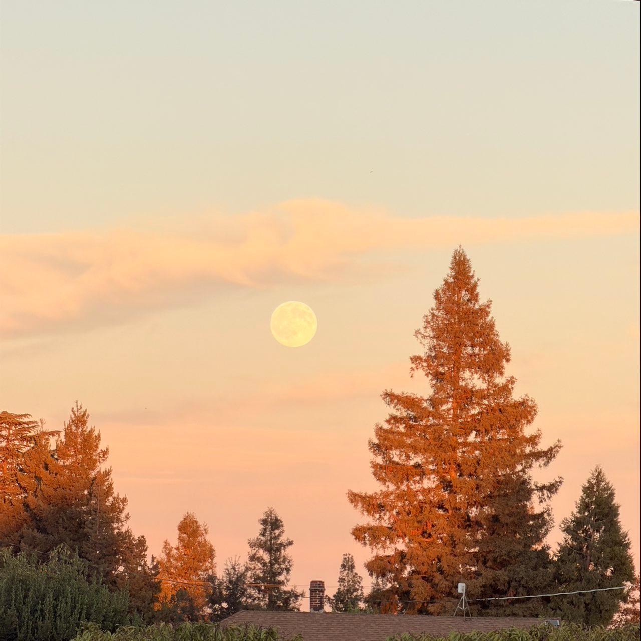 The Moon over Lodi, United States — full moon, Lunar Day 16