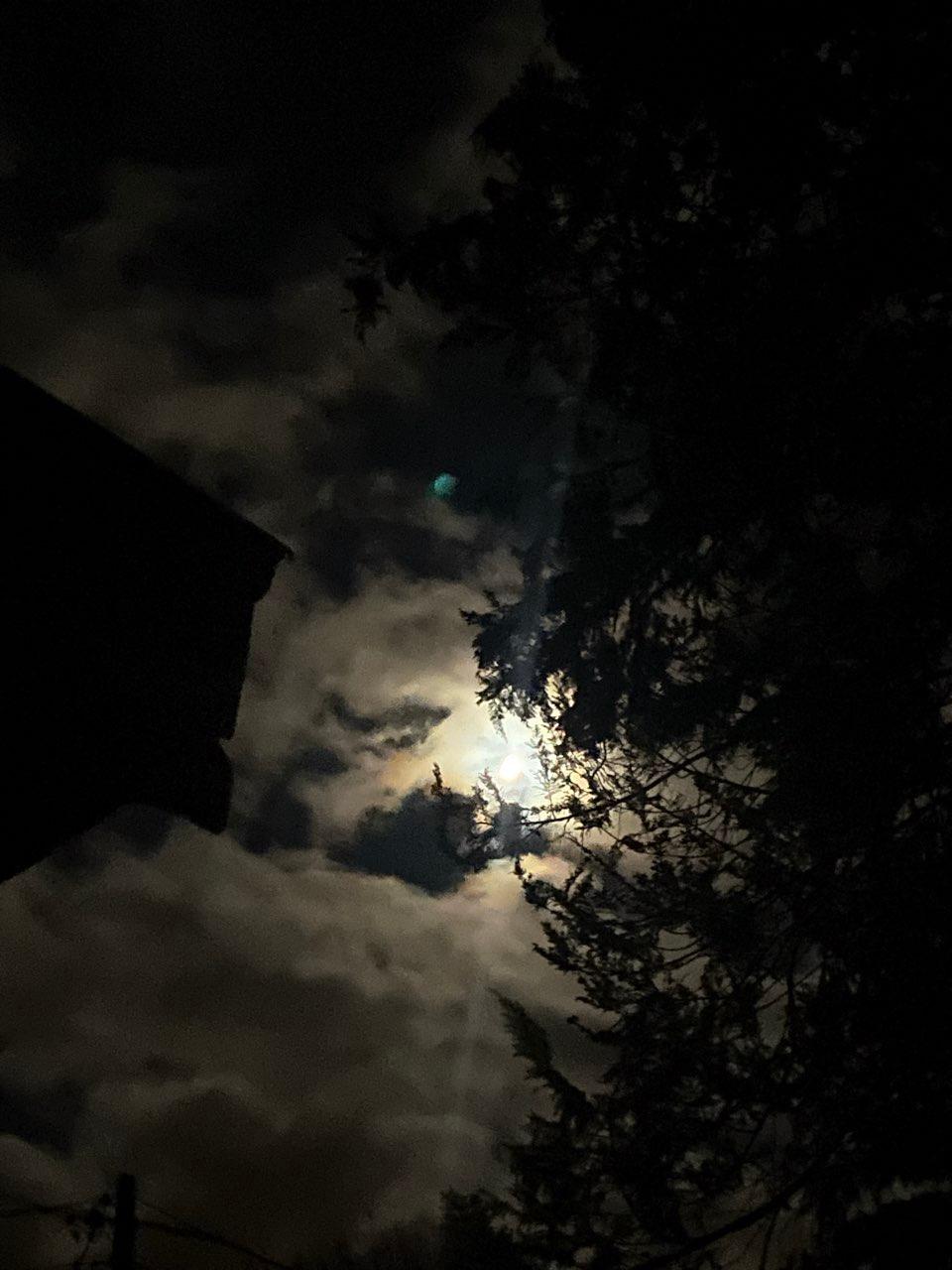 The Moon over Pézarches, France — first quarter, Lunar Day 9