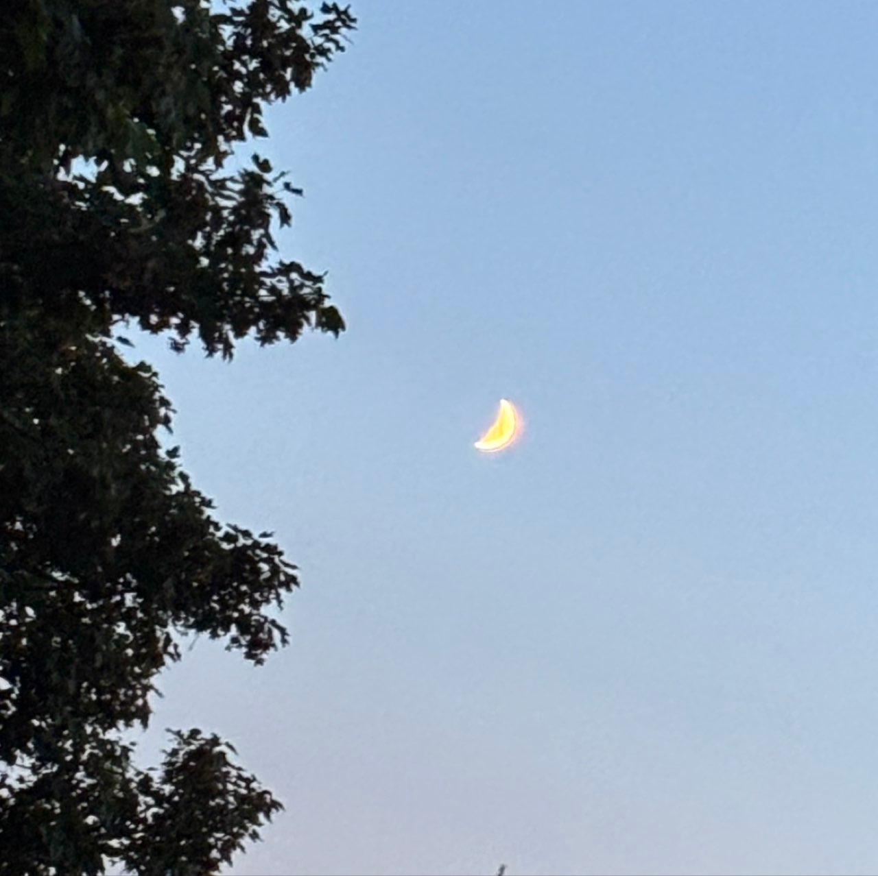 The Moon over Weymouth, United Kingdom — first quarter, Lunar Day 7