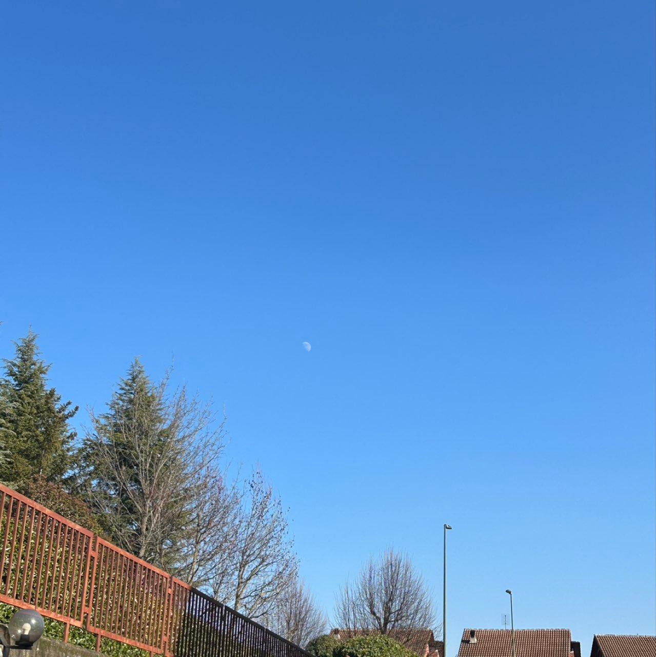 The Moon over Rivalta di Torino, Italia — first quarter, Lunar Day 9