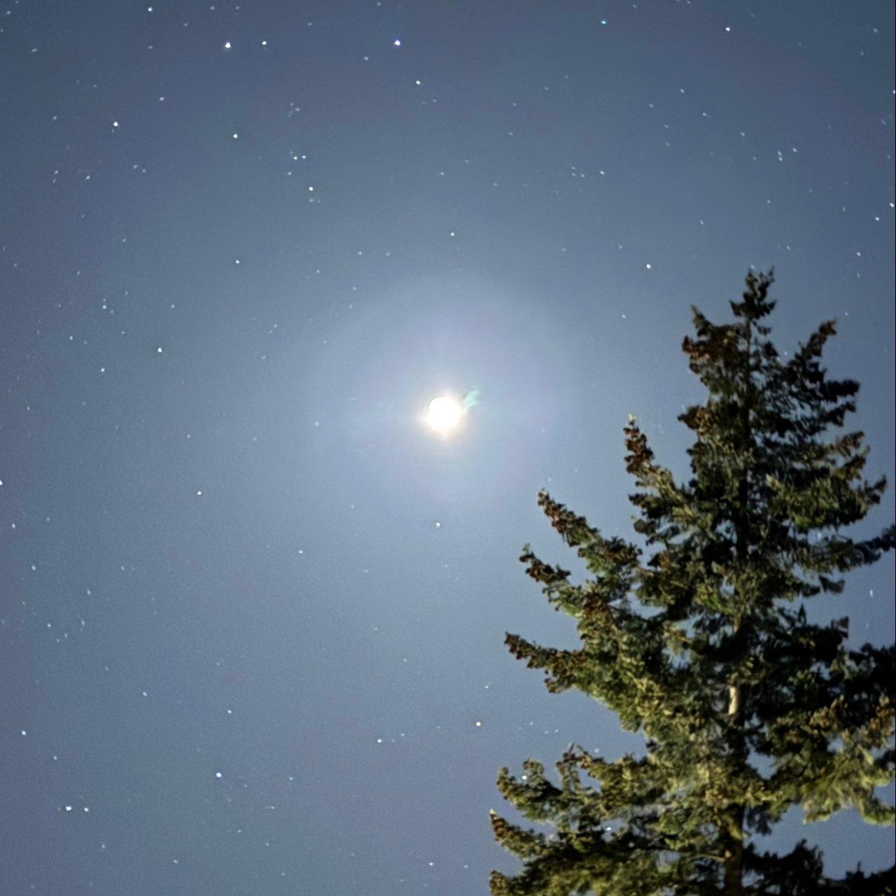 The Moon over Tofino, Canada — first quarter, Lunar Day 6