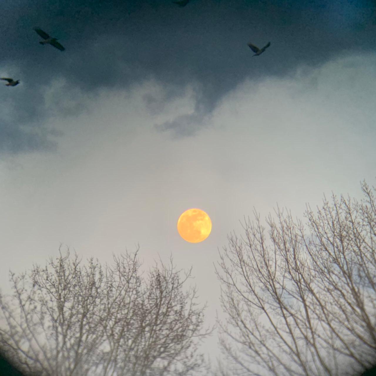 The Moon over Laskod, Hungary — full moon, Lunar Day 15