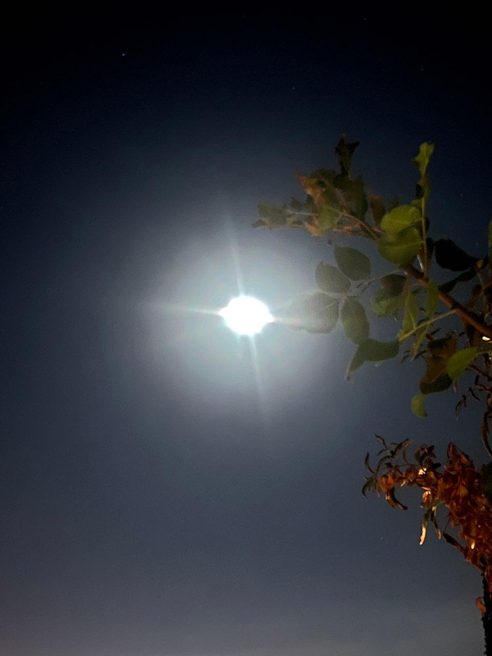 The Moon over Bodrum, Türkiye — waning gibbous, Lunar Day 20