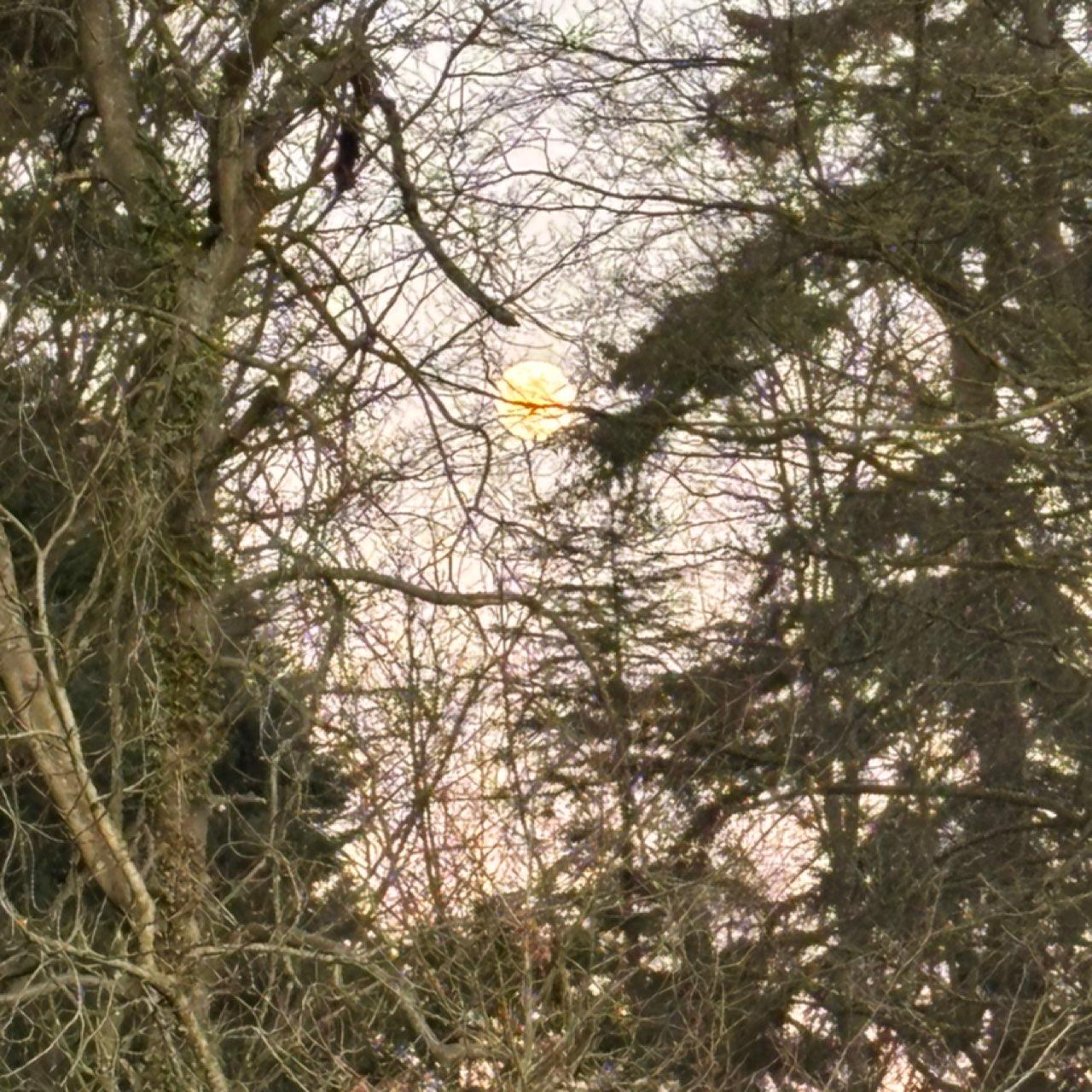 The Moon over Morpeth, United Kingdom — full moon, Lunar Day 15