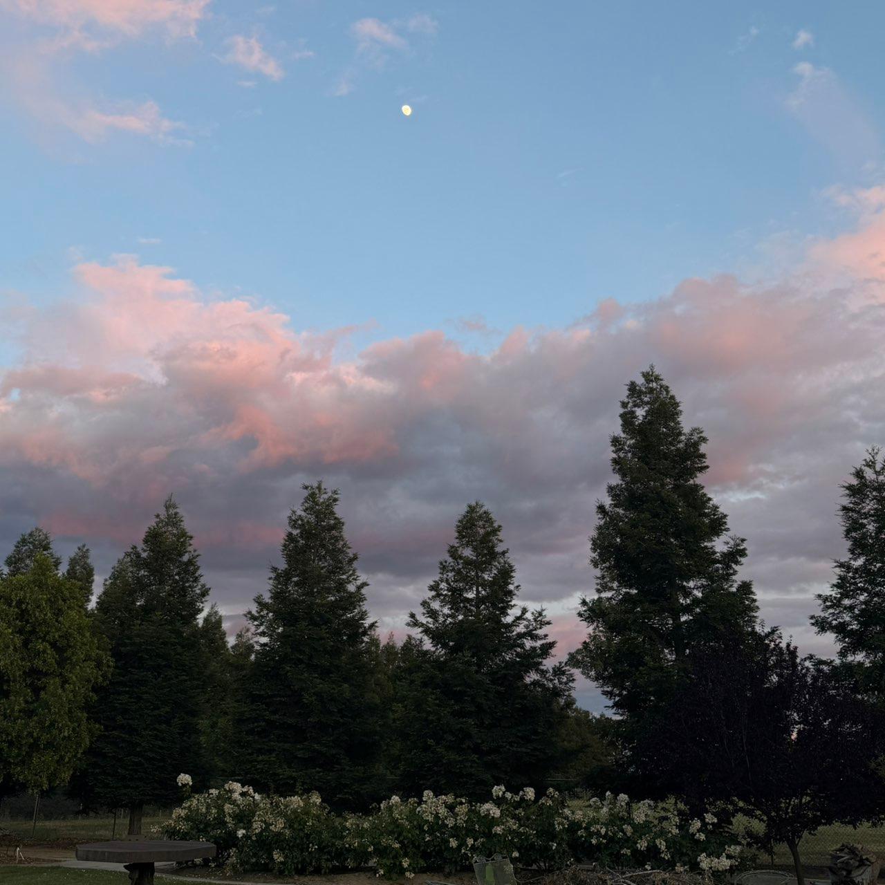 The Moon over Lodi, United States — waxing gibbous, Lunar Day 11
