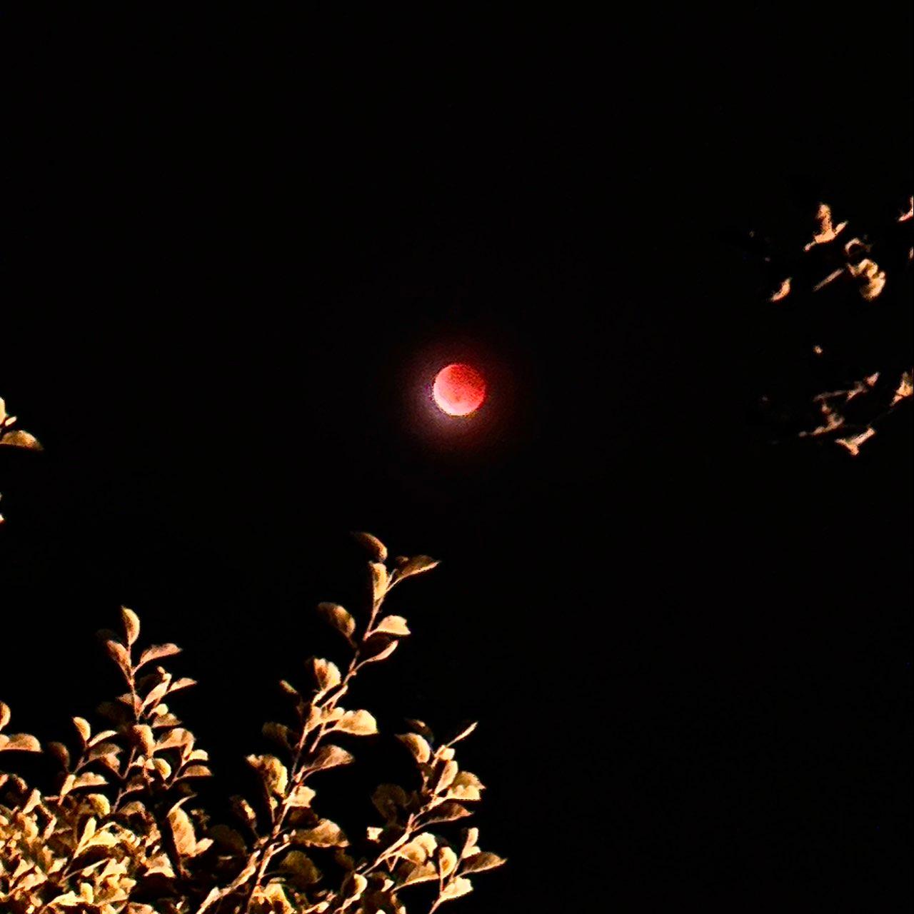 The Moon over Moieciu, România — full moon, Lunar Day 16