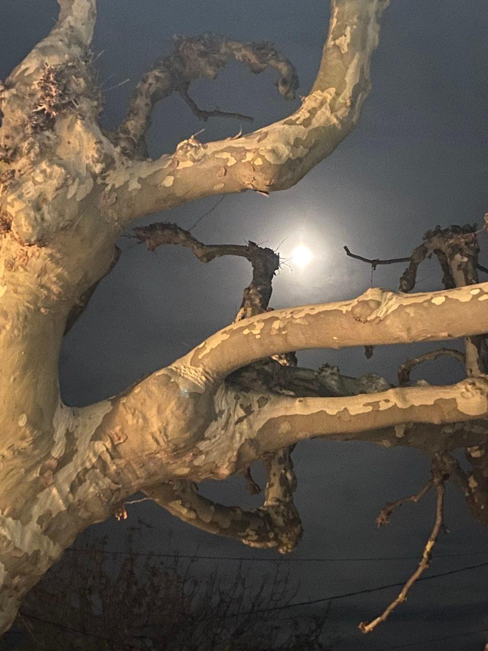 The Moon over Marseille, France — full moon, Lunar Day 15