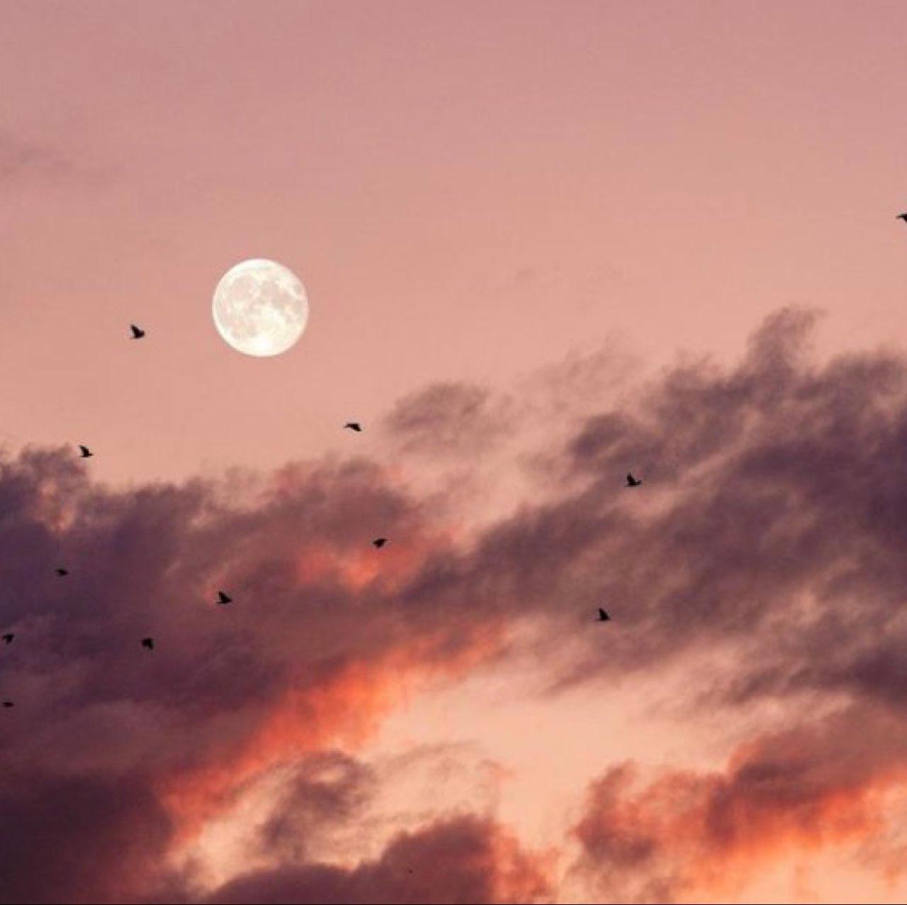 The Moon over Blackwood, United States — waxing crescent, Lunar Day 6