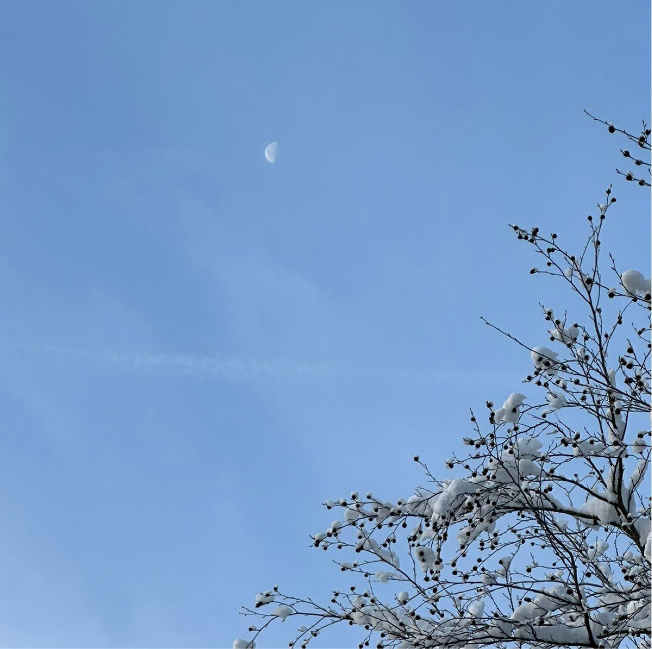 The Moon over Ingolstadt, Deutschland — last quarter, Lunar Day 21