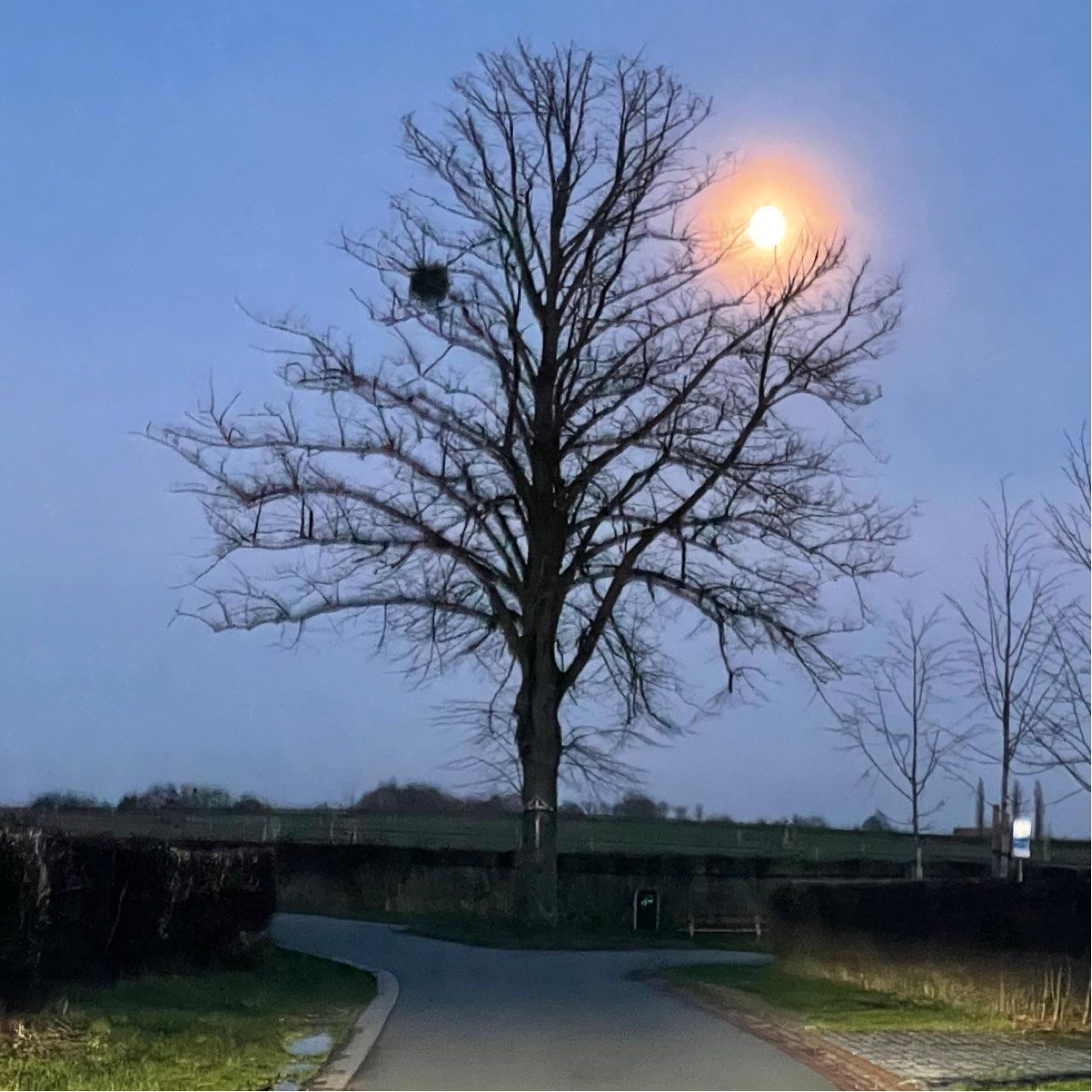 The Moon over Noorbeek, Nederland — full moon, Lunar Day 14