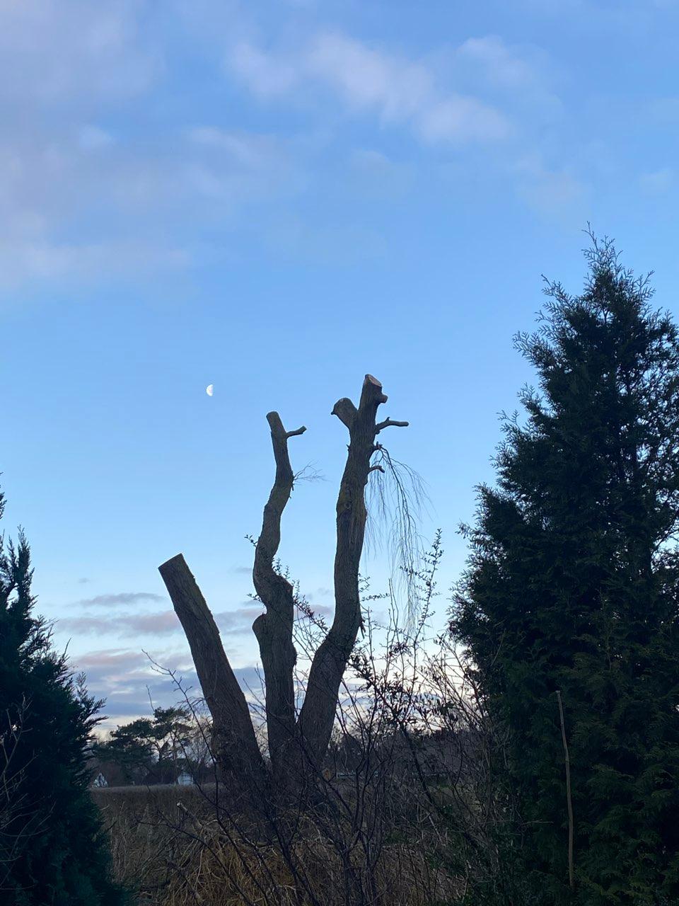 The Moon over Dierhagen, Deutschland — last quarter, Lunar Day 22