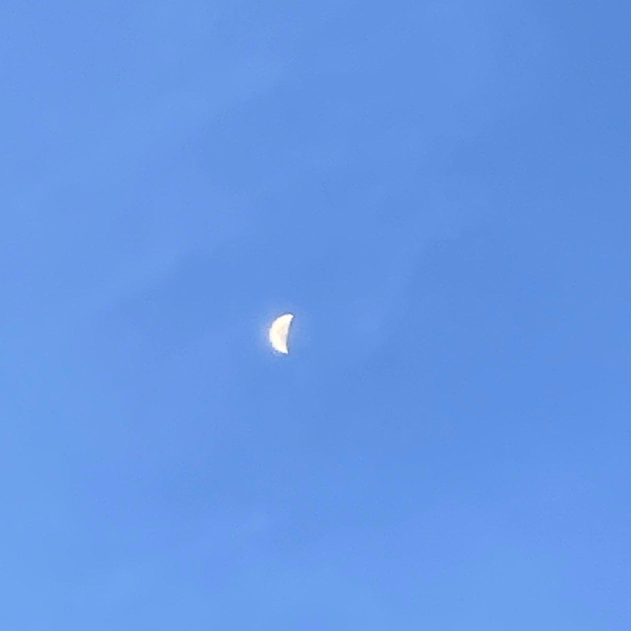 The Moon over Surfers Paradise, Australia — first quarter, Lunar Day 7